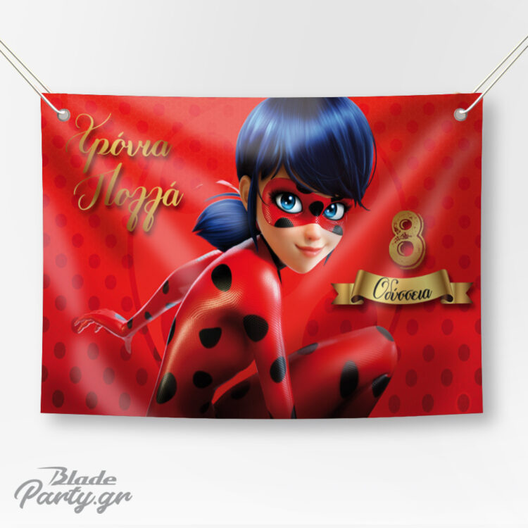 Ladybug Backdrop πάρτυ