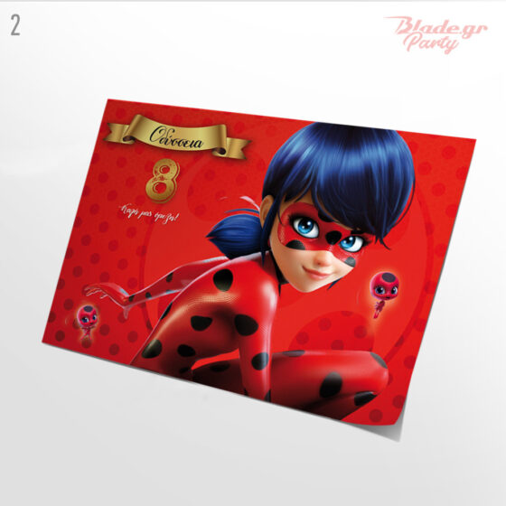 Ladybug σουπλά πάρτυ