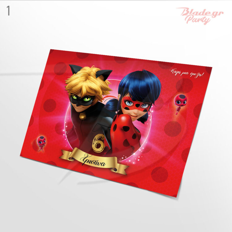 Ladybug σουπλά πάρτυ