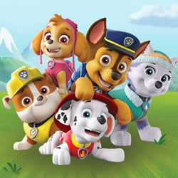 PAW PATROL