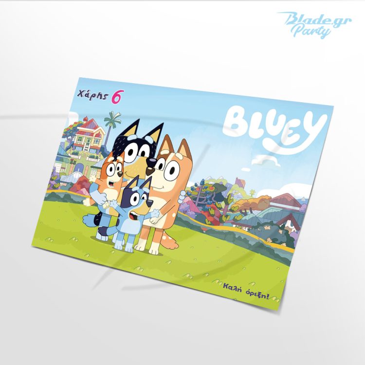 Bluey σουπλά για πάρτυ